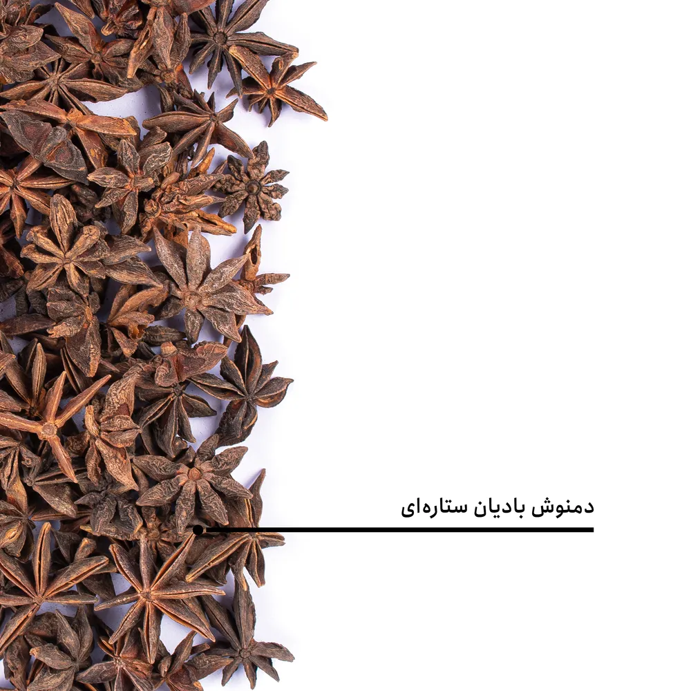 دمنوش بادیان ستاره‌ای — تصویر ۶