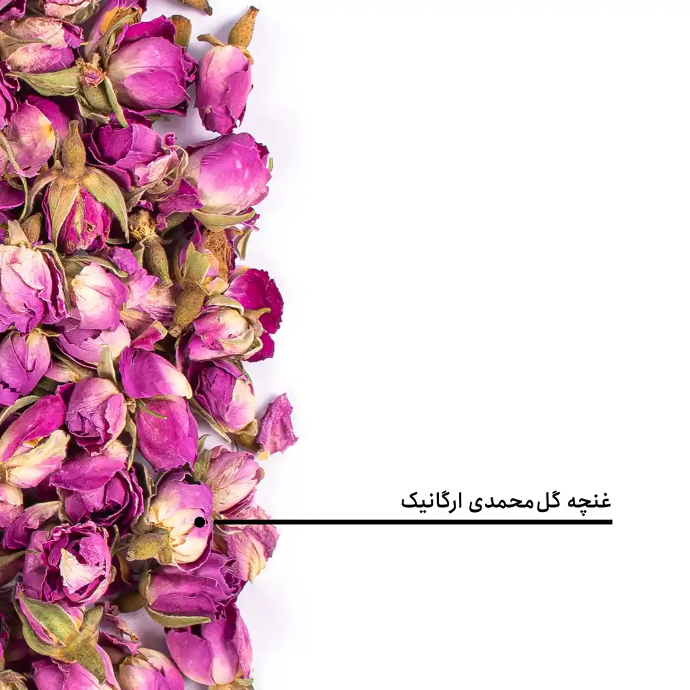 غنچه گل‌محمدی ارگانیک — تصویر ۵