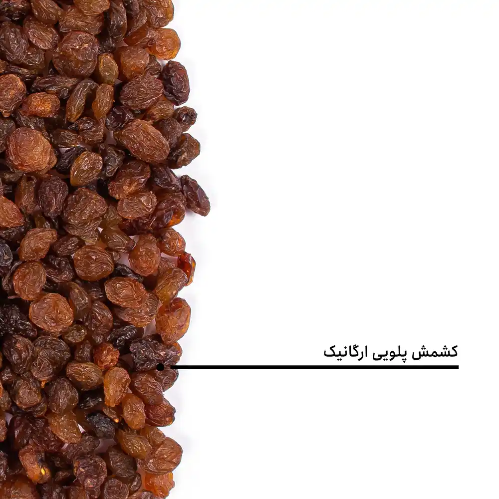 کشمش پلویی ارگانیک — تصویر ۵