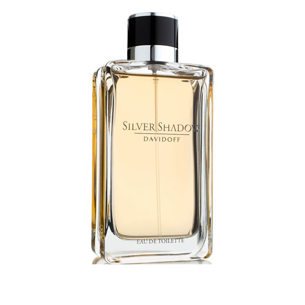 ادکلن مردانه دیویدوف سیلور شادو Davidoff Silver Shadow Men EDT