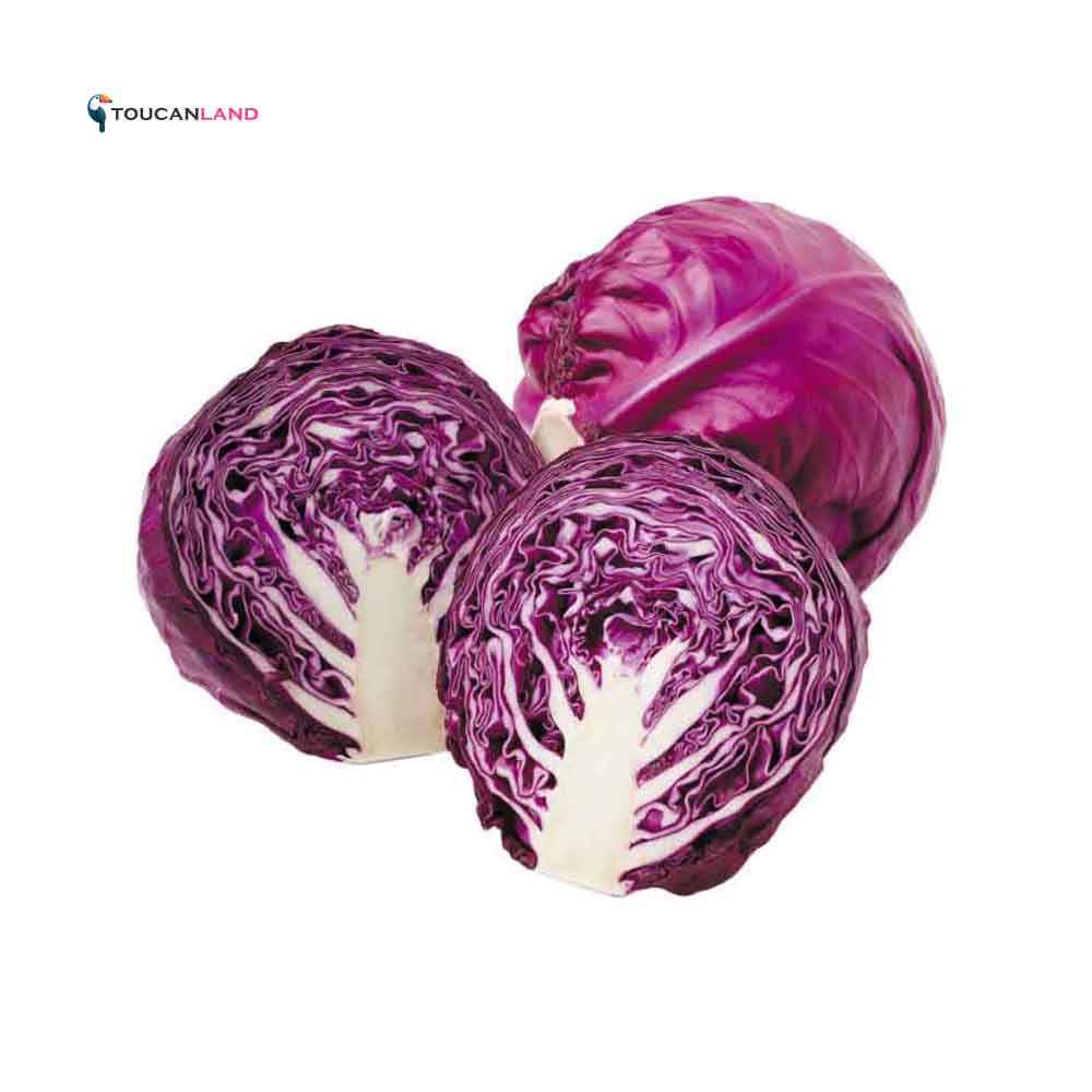بذر کلم قرمز — تصویر ۲