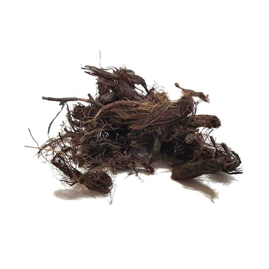 سنبل الطیب — تصویر ۳