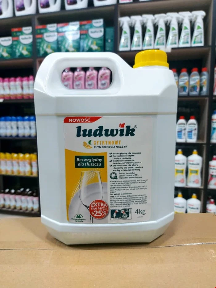 مایع ظرفشویی دستی لودویک حجم 4 لیتر ludwik
