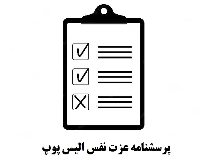 دانلود پرسشنامه عزت نفس الیس پوپ — تصویر ۳