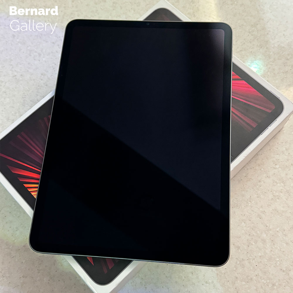 تبلت اپل مدل iPad Pro 11 inch 2021 Wifi ظرفیت ۲۵۶ گیگابایت (کارکرده) — تصویر ۴