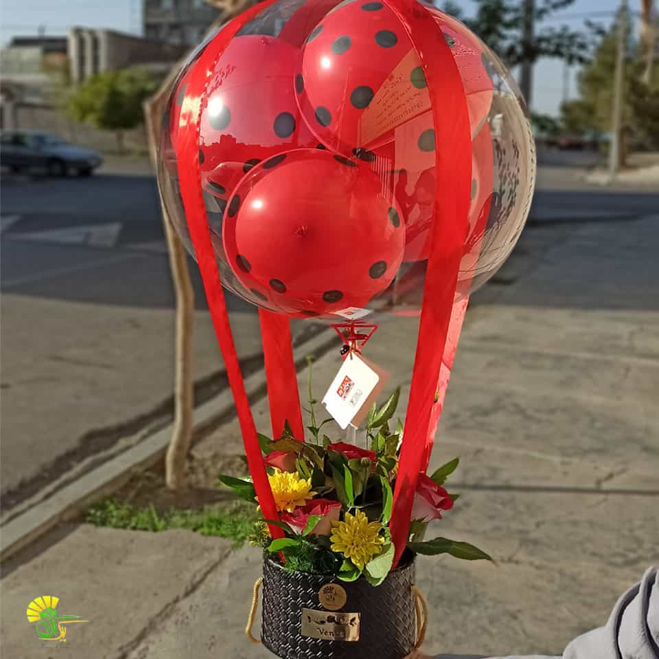 بوبوبالن قرمز مشکی — تصویر ۲