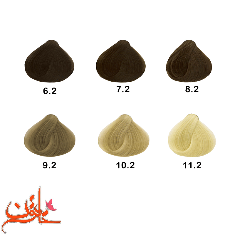 رنگ موی الیو گروه خاکستری ( smoky) — تصویر ۳
