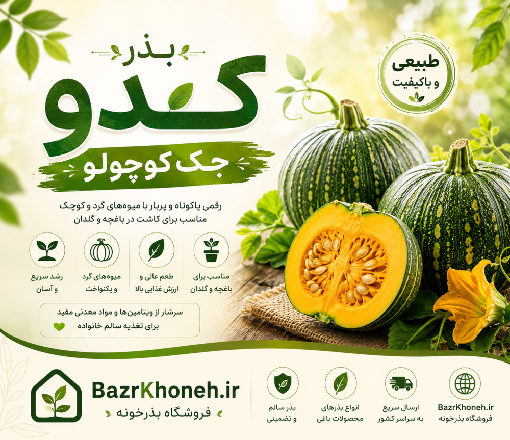 بذر کدو جک کوچولو — تصویر ۲