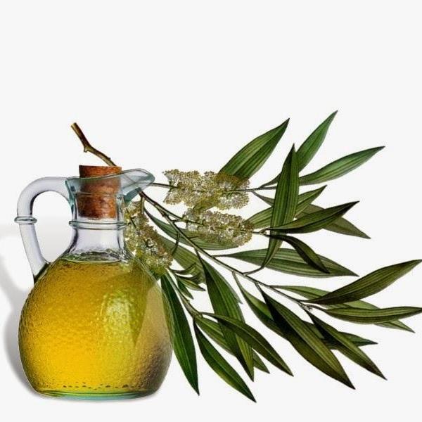 روغن مورد