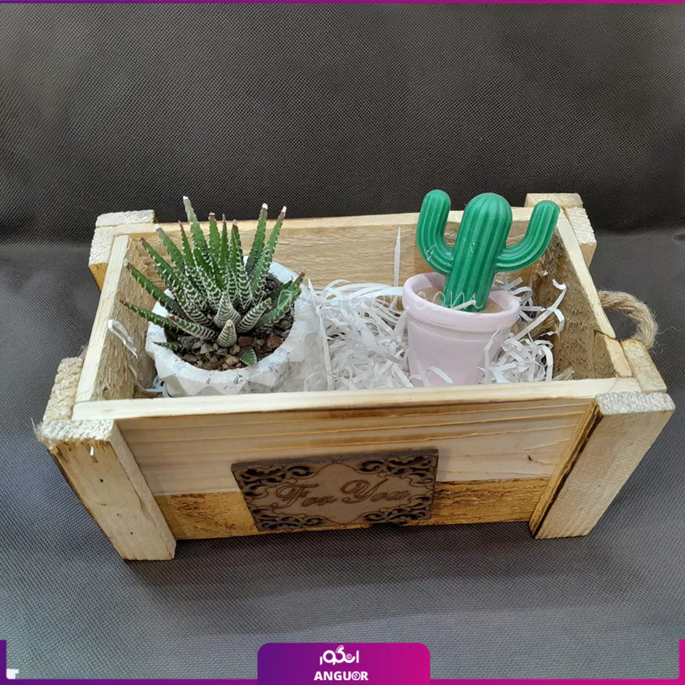 جعبه گل به همراه شمع کاکتوس