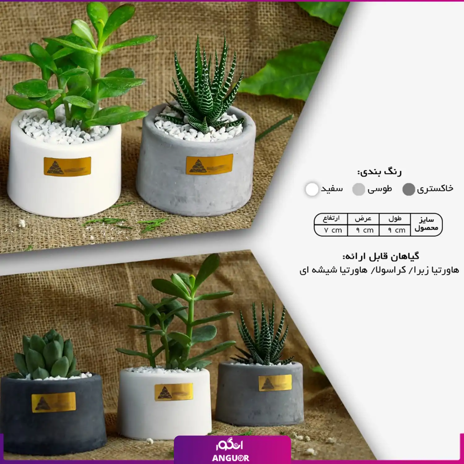 گلدان هدیه مینی (هدایای سازمانی و تبلیغاتی)