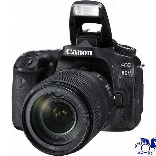 Canon EOS 80D EF-S 18-135mm f/3.5-5.6 IS USM — تصویر ۲