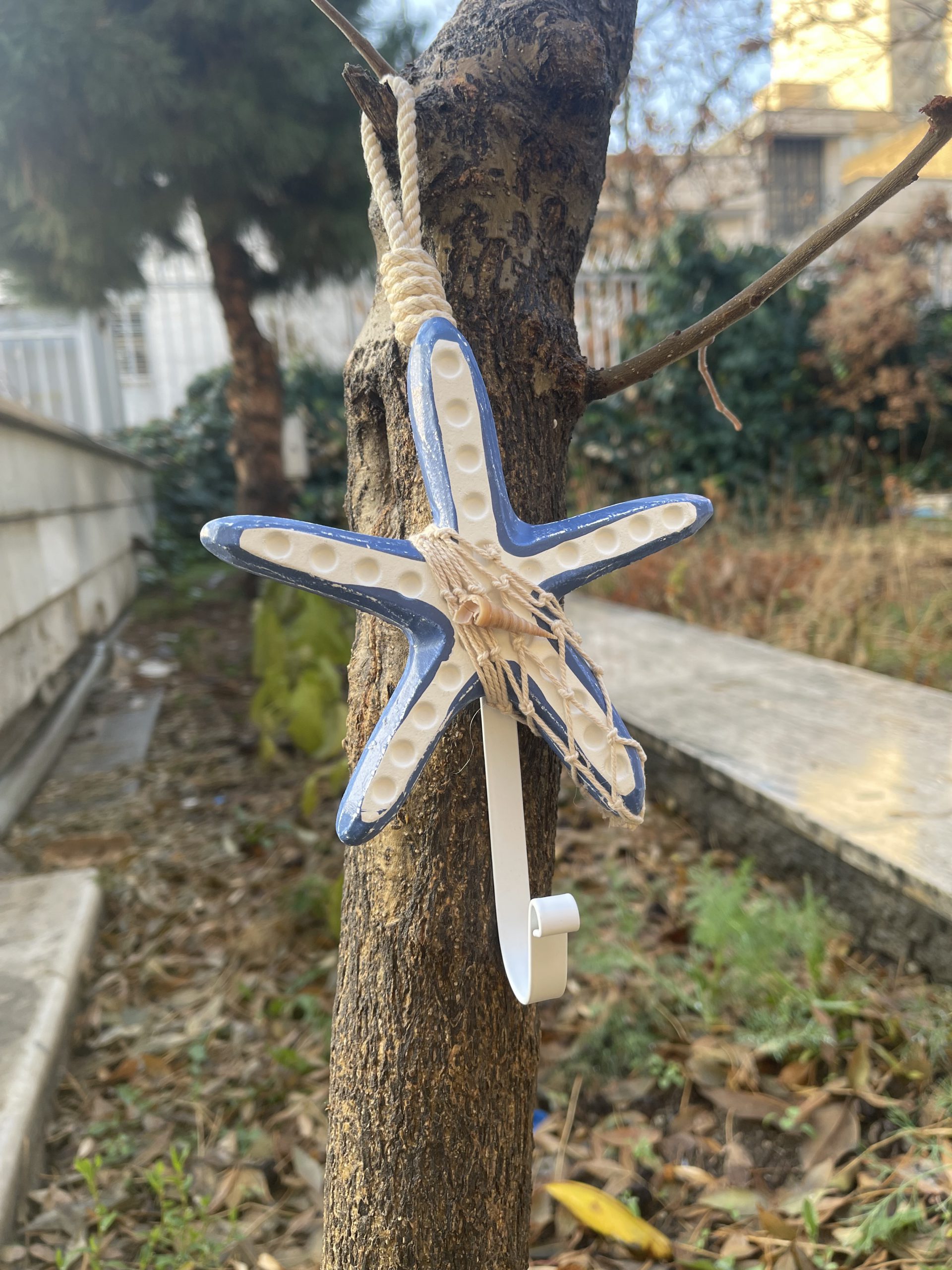 آویز چوبی ستاره دریایی — تصویر ۶