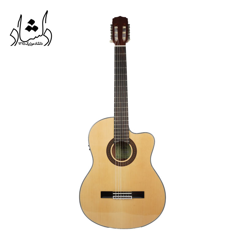 گیتار کلاسیک آریا مدل A10 CEN — تصویر ۲