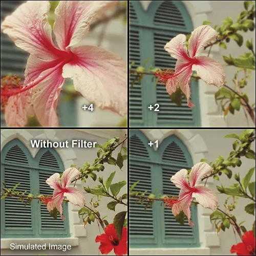 فیلتر لنز کلوزآپ کنکو Kenko Close up 67mm +4 – تبدیل لنز به ماکرو — تصویر ۴