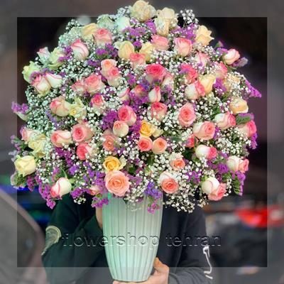 گل سانسوریا کراواتی؛ انتخابی مطمئن برای هر سن و سلیقه