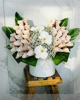 گلدان مناسب سانسوریا مناسب شرکت‌ها، مطب‌ها و فضاهای اداری — تصویر ۲