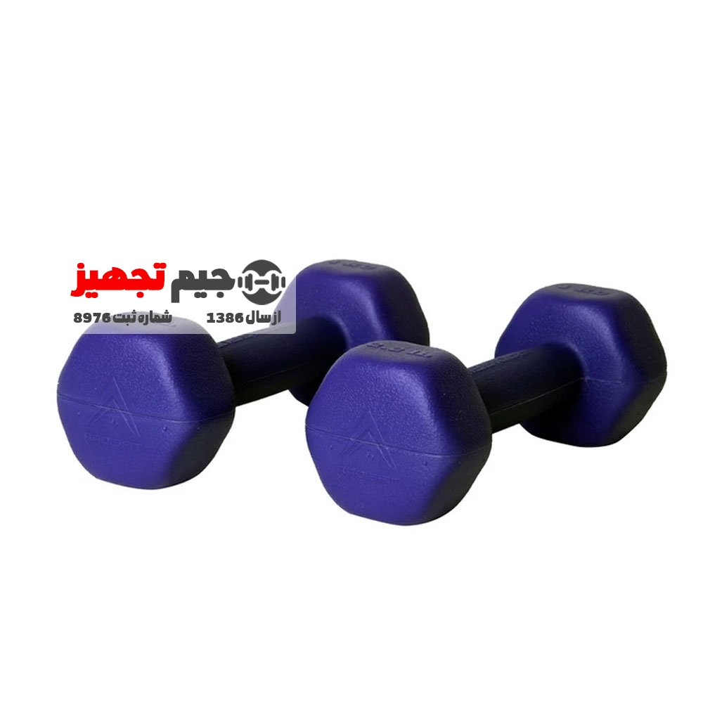 دمبل ایروبیک 10 کیلوگرم یک جفت