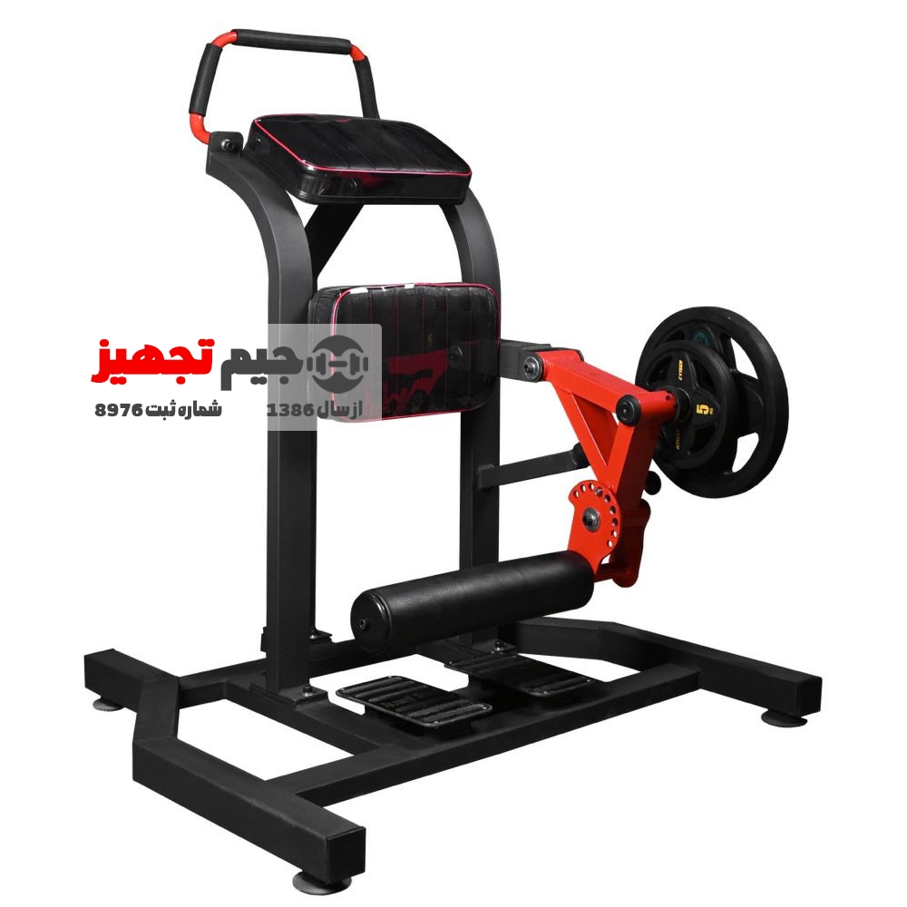 پشت پا ایستاده وزنه آزاد الموت F18