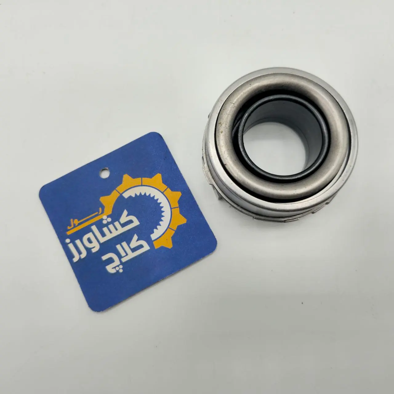 کیت کلاچ شاهین برند آلستر — تصویر ۴