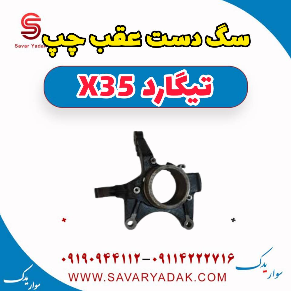 سگ دست عقب چپ تیگارد x35