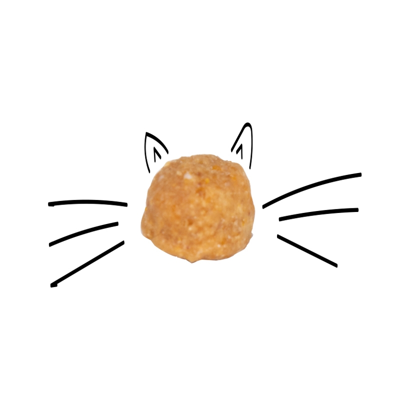 غذای خشک بچه گربه سلبن مدل Kitten وزن 2.5 کیلوگرم — تصویر ۵