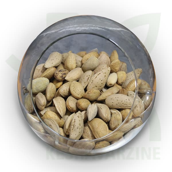 بذر بادام تلخ(حداقل سفارش 1Kg)