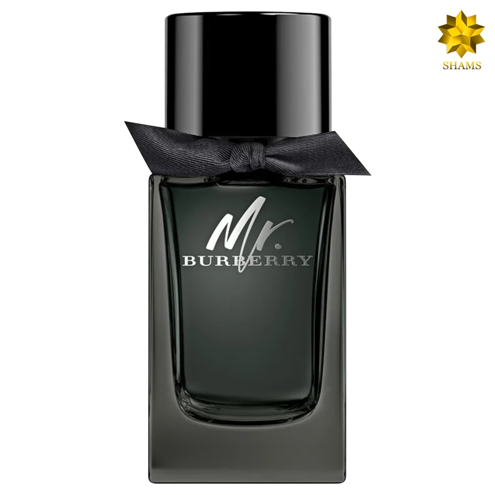 Burberry Mr. Burberry Edp 100ml