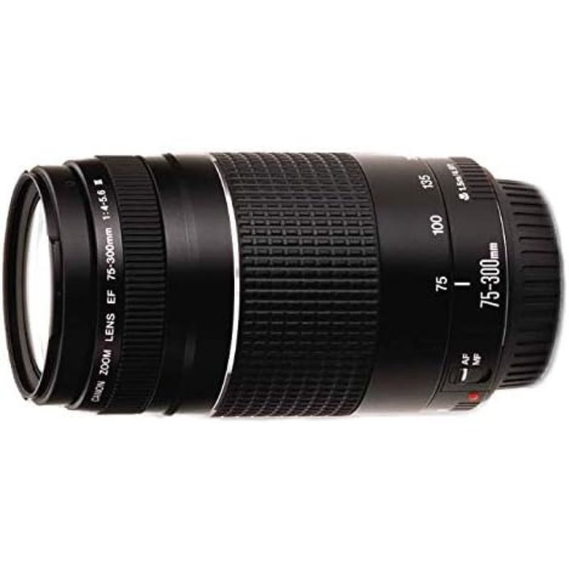 دوربین کانن Canon EOS 250D + 18-55 mm + 75-300 mm — تصویر ۶