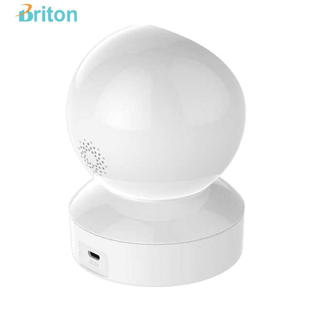 دوربین مداربسته تحت شبکه برایتون مدل Briton 2212P8 — تصویر ۳