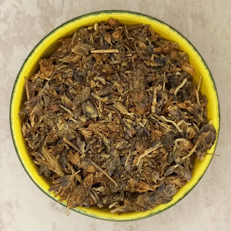 اسطوخودوس گلجیل — تصویر ۳