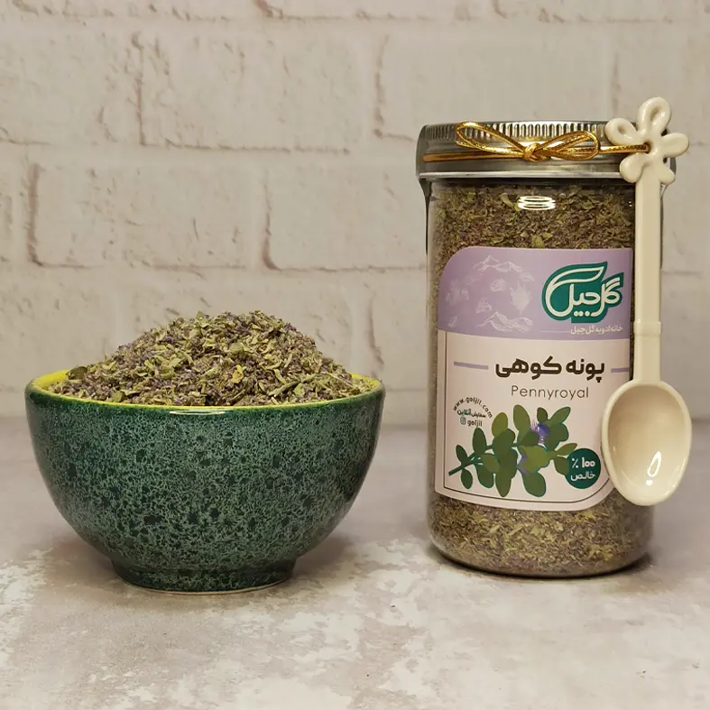 پونه کوهی گل‌جیل — تصویر ۴