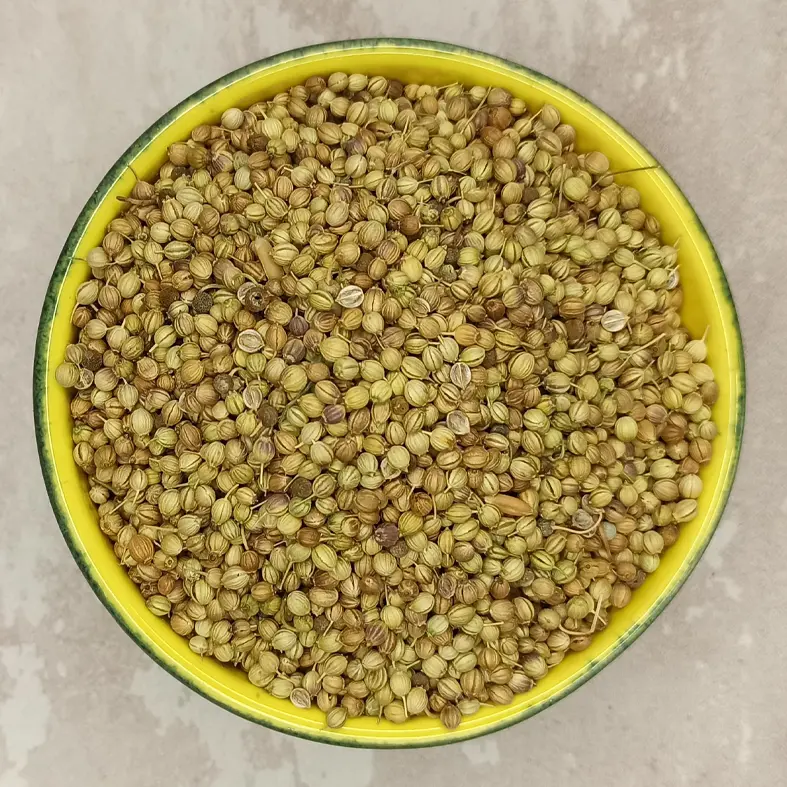 تخم گشنیز گل‌جیل — تصویر ۴