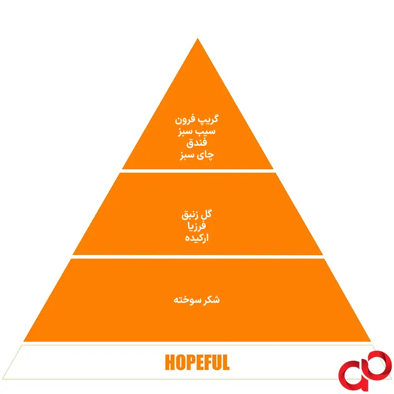 خوشبو کننده خودرو واوانا مدل HOPEFUL — تصویر ۶