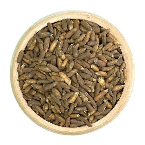 چلغوزه درجه یک