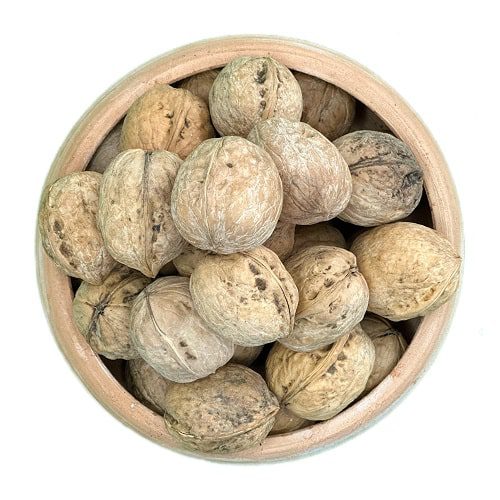 گردو کاغذی — تصویر ۲