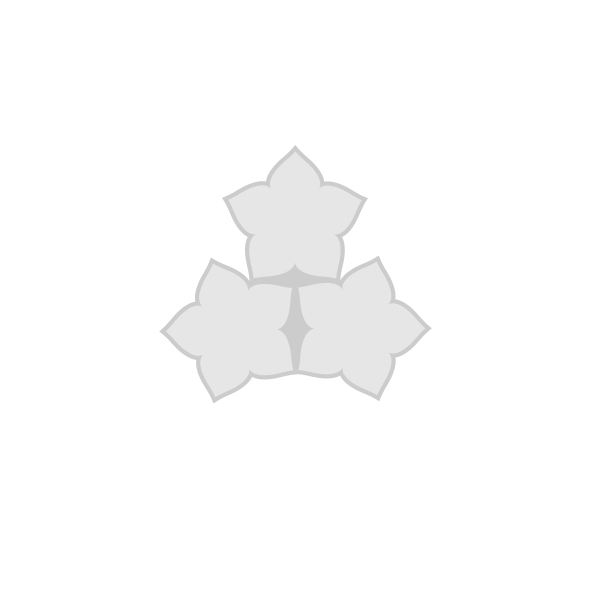 قالب گیفت سه قلو کد 02 — تصویر ۲