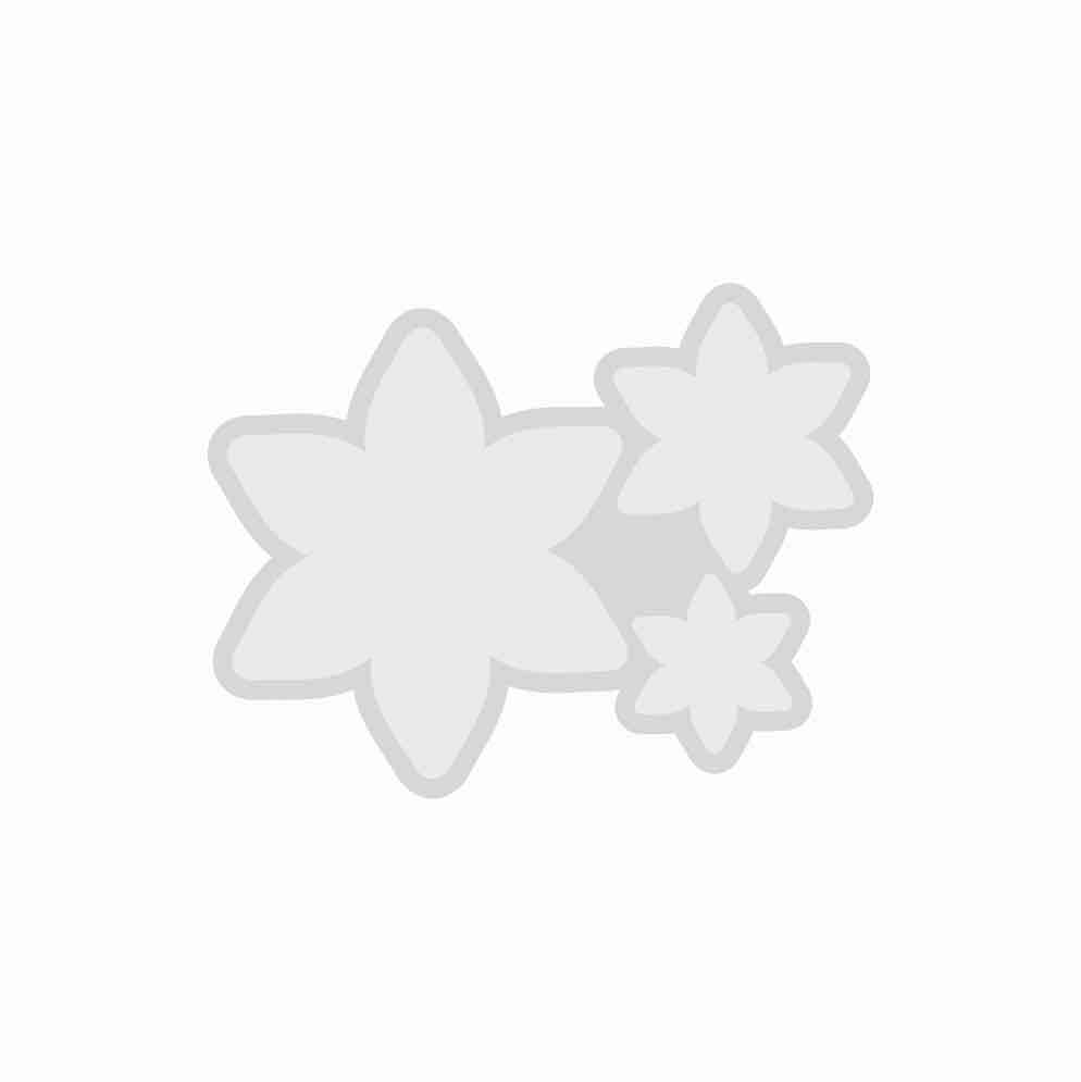 قالب گیفت سه قلو کد 08 — تصویر ۲