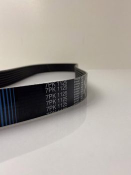 تسمه دينام گتس 7PK1125 مناسب براي رنو مگان 2000 — تصویر ۴