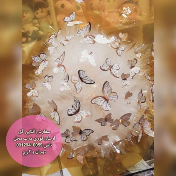دسته گل پروانه 50 شاخه ای سبز نقره ای — تصویر ۲