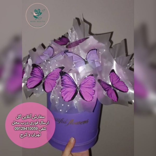 باکس پروانه۱۷شاخه شماره01 — تصویر ۲