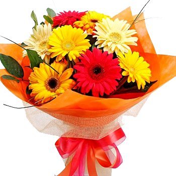دسته گل ژربرا برای خواستگاری