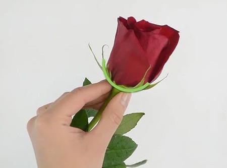 سفارش آنلاین گل رز شاخه ای