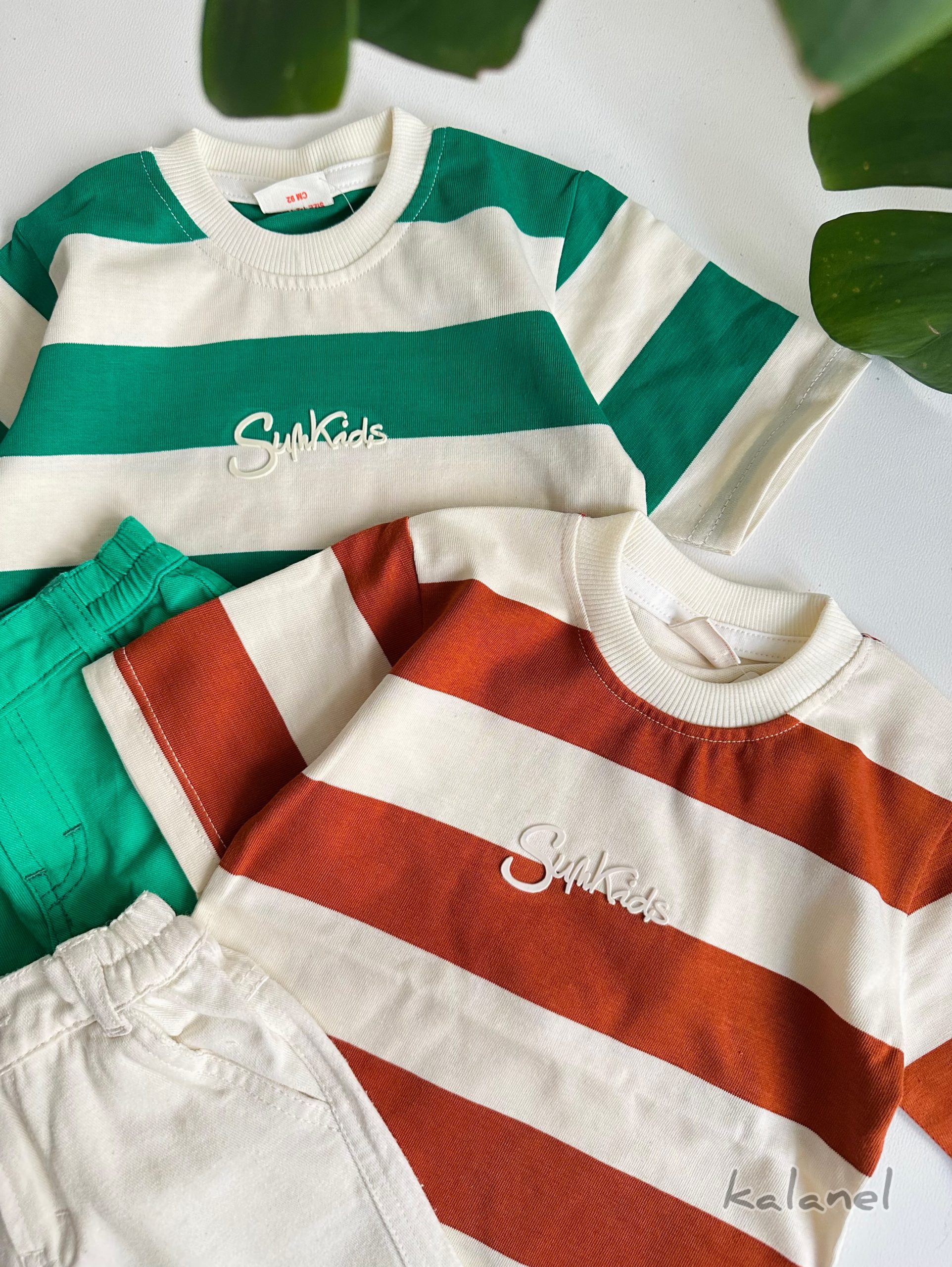 تیشرت رینگی sunkids — تصویر ۶