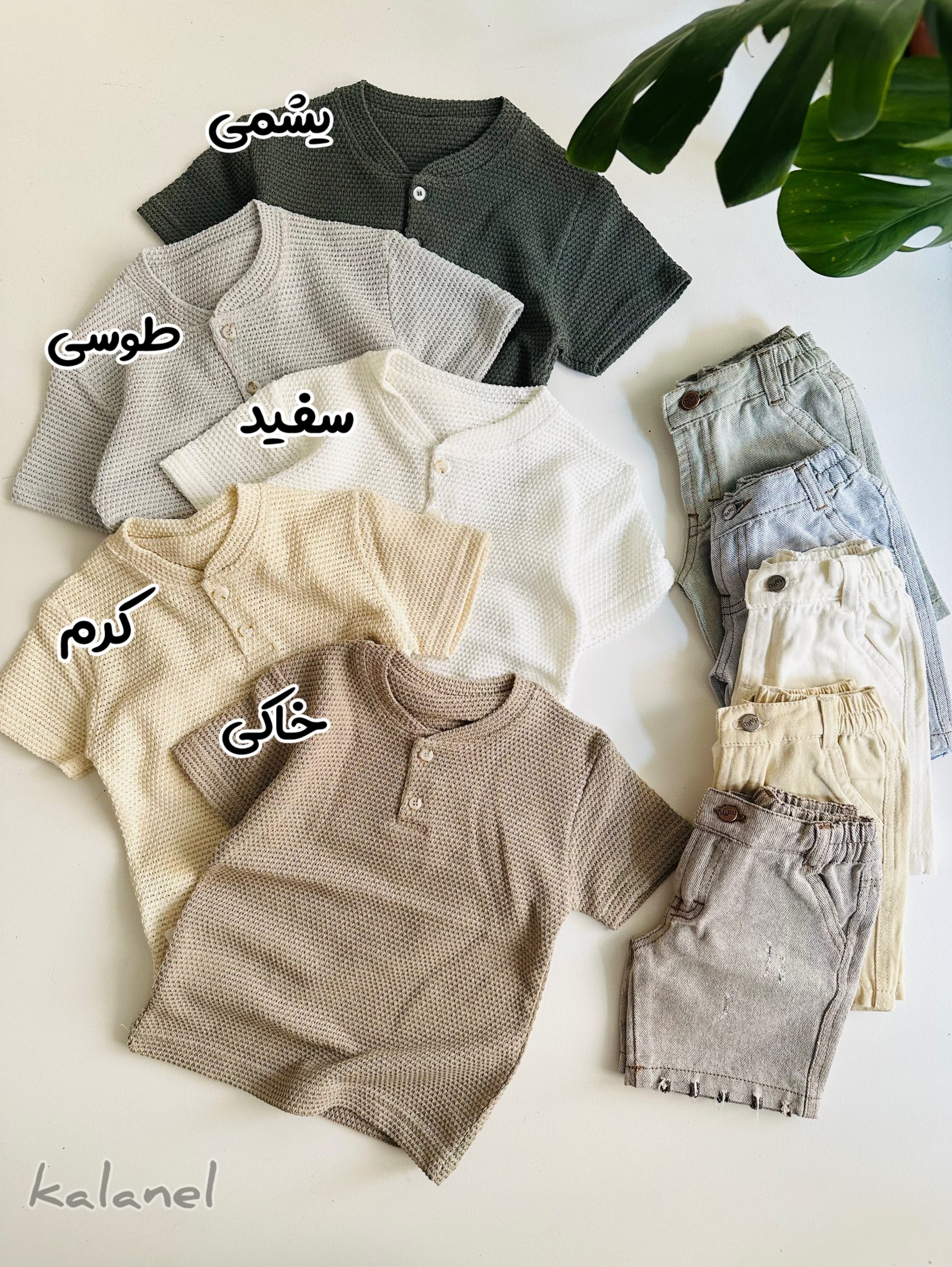 تیشرت کنفی توری ترک — تصویر ۳