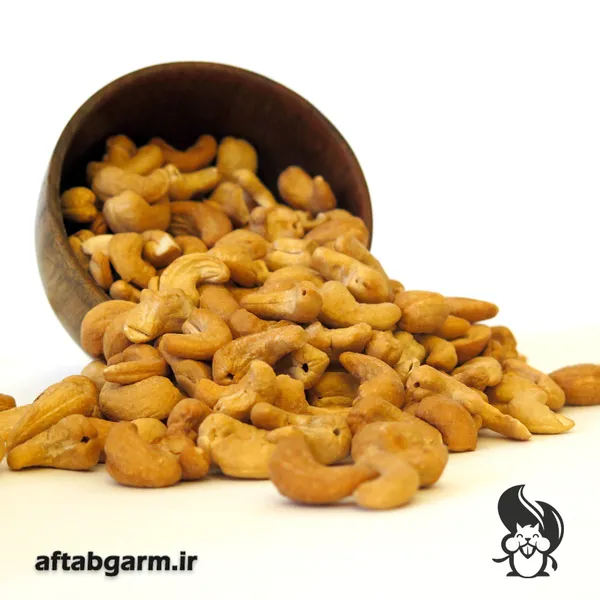 بادام هندی نمکی