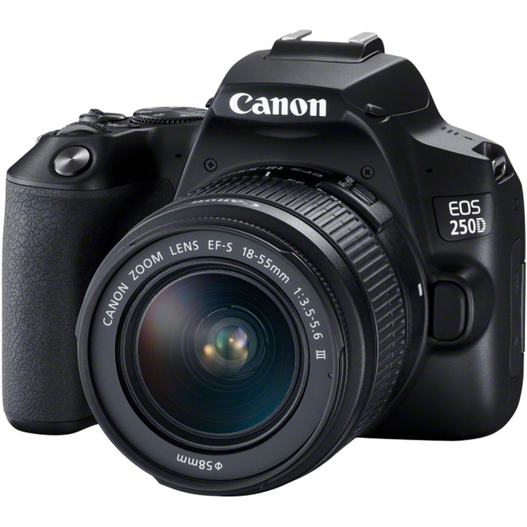دوربین عکاسی کانن Canon EOS 250D Kit EF-S 18-55 mm f/3.5-5.6 III — تصویر ۷