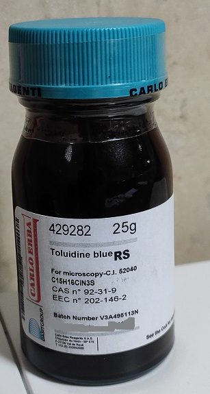 تولوئیدین بلو (5 و 10 گرمی) — تصویر ۲