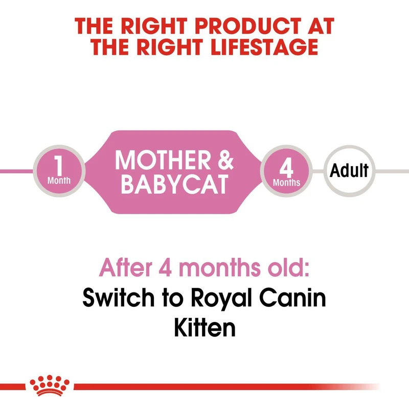 غذای خشک رویال کنین مدل Mother and Babycat وزن 195 گرم بسته 12 عددی — تصویر ۳