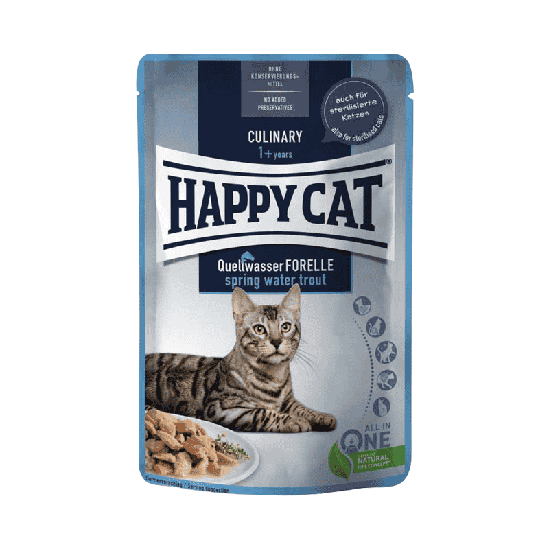 پوچ گربه هپی کت Happy Cat با طعم ماهی قزل آلا مدل Culinary Spring Water Trout وزن 85 گرم
